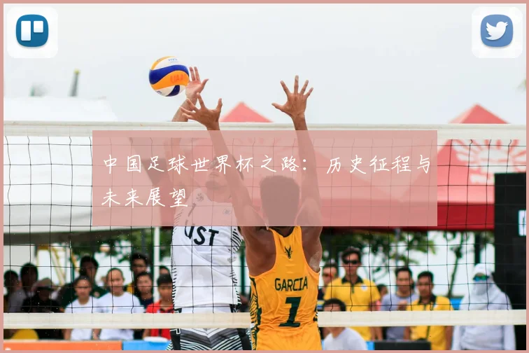 中国足球世界杯之路：历史征程与未来展望
